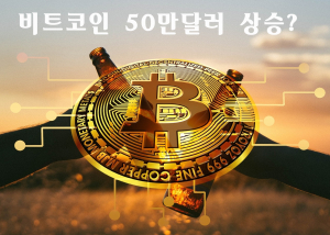 헤지 기금 수석, ‘비트코인 가격 50만 달러로 상승할 것’