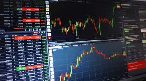 SEC 위원장 비트코인은 주식과 같지 않다 ‘우리는 스위치처럼 뒤집지 않을 것’