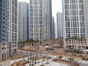 [칼럼] 송도 아파트 가격, ‘외지인에게 유독 비싼 이유는?’
