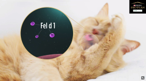네슬레 퓨리나, 2021 KSFM 웨비나 특별 강연 진행