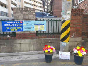 쓰레기 대신 `꽃`… 골목길에 봄이 왔어요