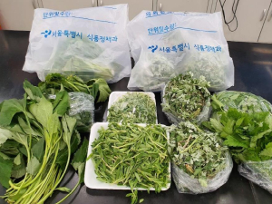 서울시 보건환경연구원, 영양만점 제철 봄나물 안전성 검사 실시