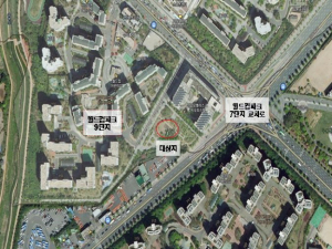 마포구, ‘잔나비 스타숲’ 조성…특별한 날 기념 나무심기 지원