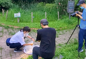 곤충학자가 온라인으로 들려주는 곤충 이야기