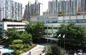 강남구, 서울시 토지·지적관리업무 평가 4년 연속 최우수기관 선정