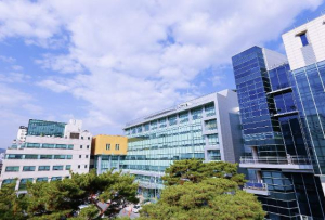 은평구, 감사원 자체감사활동 심사 2년 연속 `A등급` 쾌거