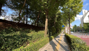 강동구, `열린정원` 조성으로 고덕로변 새 단장