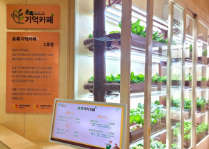 초로기 치매 환자 사회참여 늘린다…서울시, 도봉·양천에 `초록기억카페` 추가 개소