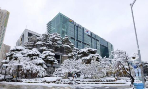 설 황금연휴 `민생` 최우선...금천구, 설 종합대책 가동
