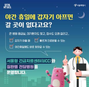 서울시, 긴 설 연휴 비상의료 풀가동…˝가까운 `문여는 병의원, 약국` 확인하세요˝