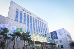 서초구, 설 연휴 특별교통대책으로 귀성·귀경길 안전 지킨다