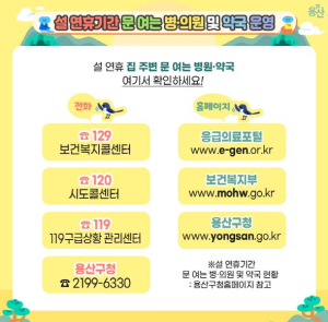 용산구, 2025년 설 연휴 응급진료체계 구축 마련
