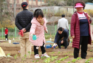 성동구, 도시 농부 위한 텃밭 분양…나만의 푸른 심(心)터 만들어요!