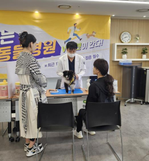 강남구, 서울시에서 유기견 가장 적다...전년도 대비 55% 감소
