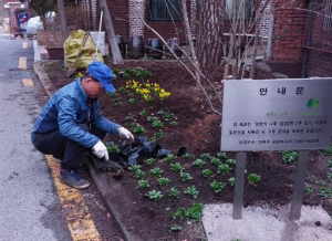 구민이 직접 가꾸는 녹색 도시⋯강북구, 나무돌보미 상시 모집