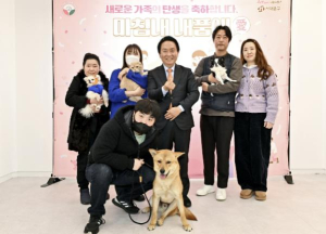 서대문구, 유기견·길고양이에게 따뜻한 새 주인 연계