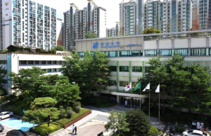 지원이 끝나도 괜찮을까? 강남구, 통합사례관리사가 나선다!