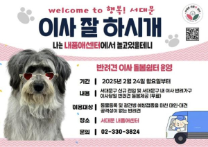 서대문구, 주민 이사하는 날 반려견 안전하게 맡아 준다