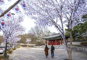 태극기 꽃이 피었습니다 용산구, 제106주년 3.1절 기념 태극기 거리 조성