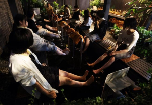 녹색의 치유력으로 중독자의 심리-정서적 회복 돕는다...노원구, 중독자 및 가족 대상 `노원형 녹색처방` 프로그램 본격 운영