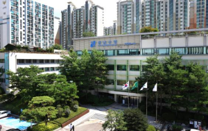 강남구, 2024 데이터기반행정 평가 최고등급 달성