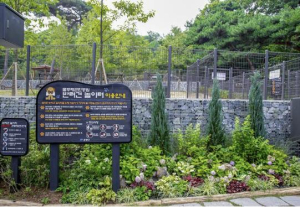 ˝댕댕이들 많이 기다렸지?˝ 은평구, 반려견 놀이터 내달 1일 이용 재개