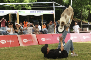 2025년 동물복지 시행계획 수립 서초구, 사람과 동물이 모두 행복한 ‘동물 친화도시 서초’ 조성