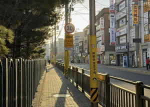 도봉구, 창림초 일대 노란 물결 뭔가 봤더니