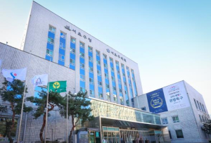 AI 선봉은 서초! 양재 AI 특구에서 첨단도시 미래 연다