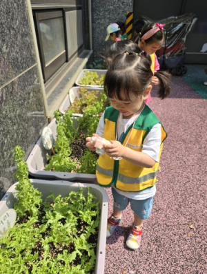 강남구민을 위한 소소한 자연 힐링, `상자텃밭` 신청하세요