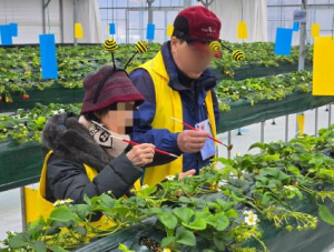 송파구, 치매 환자‧가족, 추억 만드는 특별한 농업체험