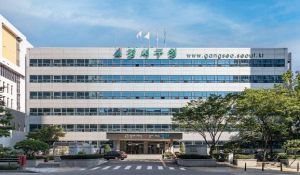 강서구, 의료관광 메카로 비상...2025 의료관광 활성화 계획 발표