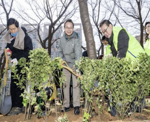 나무 한 그루, 추억 한 조각…영등포구, 나무심기 행사 개최