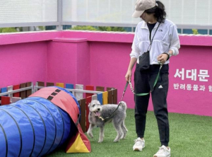 서대문구, 2025년 취약계층 우리동네 동물병원 사업 추진