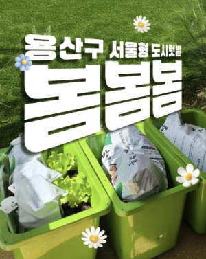 용산구, `우리 집 싱싱박스` 상자텃밭 신청자 모집