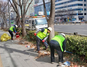 영등포구, 봄맞이 가로수·가로정원 정비