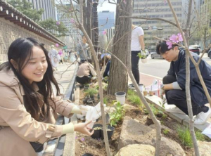 종로구, 무악동 야생화단지에 수국 심는다 `식목일 행사`