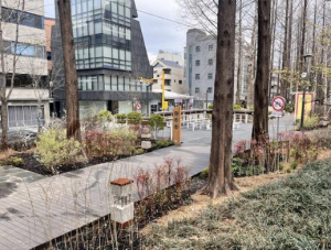 서초구, 양재천 `살롱드가든`에 4개의 테마정원 조성