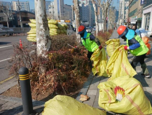 구로구, 새봄맞이 가로수·녹지대 정비 실시