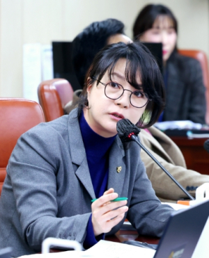 김혜영 서울시의원, “청년문화패스로 청년이 가장 선호하는 ‘영화’는 못 봐…청년 취향 외면”