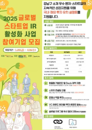 강남구, 스타트업 투자유치 본격 지원… 30개사 글로벌 진출 돕는다
