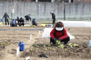 성동구, 2025년 무지개텃밭 개장식 개최…누적경작자 4,100명 달성