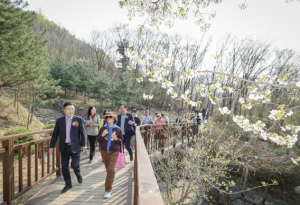서초구, 우면산 무장애숲길 2구간 개방… 누구나 안전하게 걷는다