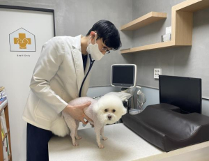 반려동물 건강 지킴이 영등포구, 광견병 백신 지원