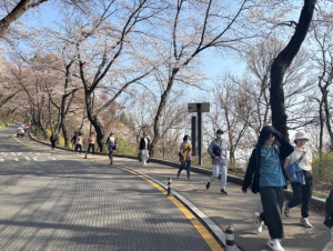 용산구 ˝봄따라 남산길 걷자˝스탬프 투어 참여하세요!