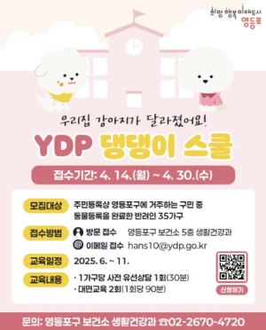 영등포구, 반려견 문제행동 고민 끝! `YDP 댕댕이 스쿨`이 집으로 찾아갑니다