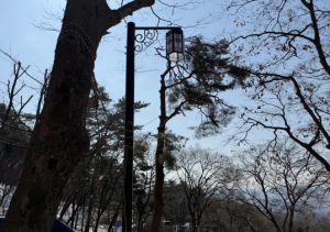 금천구, 새 보안등이 밝히는 호압사의 밤... 호압사 보안등 교체 및 추가 설치 완료