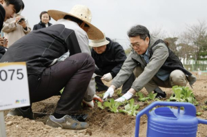 성동구, 상자 텃밭 보급…집에서 수확의 기쁨 누려요!