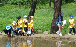 강남구, 양재천·대모산 `생태·산림 프로그램` 연중 운영