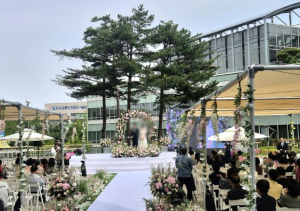마포구청 햇빛광장에서 피어난 봄날의 특별한 야외 결혼식